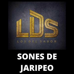 Sones de Jaripeo
