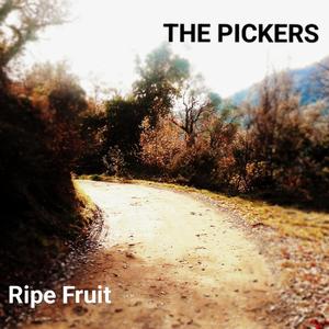 Evidence (feat. Martino Vercesi, Carlo Bavetta & Matteo Frigerio)