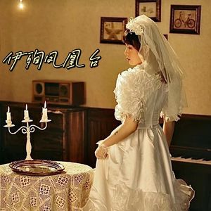 伊人独醉 幻弦缘 主题曲