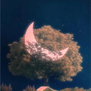 岁月别带走我的星辰.