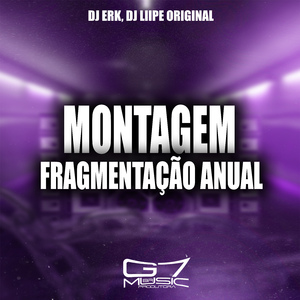 Montagem - Fragmentação Anual