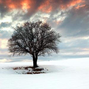 这热烈的爱让我无法承受