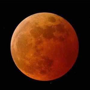 九儿（萨克斯独奏）