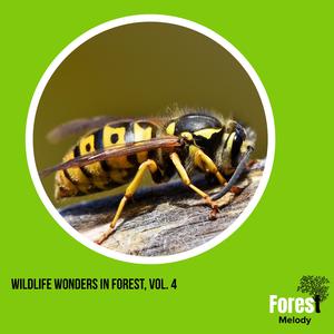 Exploring Birdsong Across the World with Northern Flicker