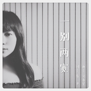 一别两宽