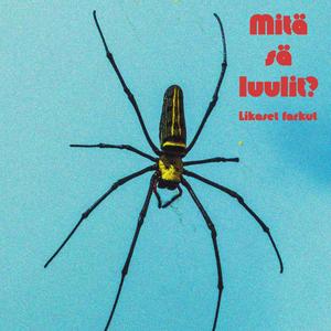 Soita mulle huomenna