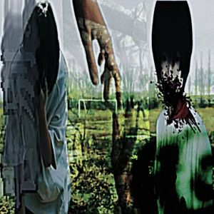 夏日，毕业季和鲜血