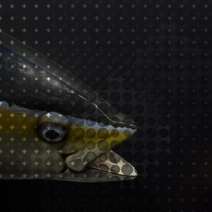 Side B: a) Wasps in the TQSsalt Pool, b) LEMILICA quikrdub, c) Lido, 無限の海, 無限のリド 79 BPMaster Beachhead-it