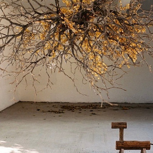 A sweet turn of autumn