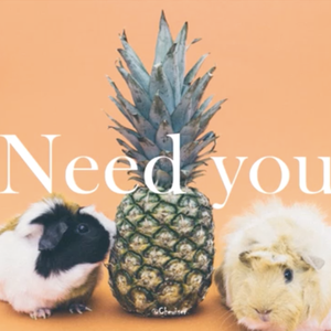 表白歌（Need you）