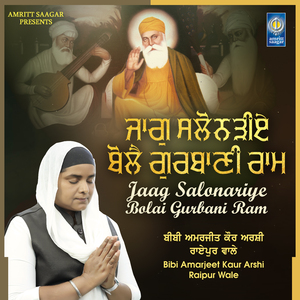 Mere Sahiba Tere Choj Vidana