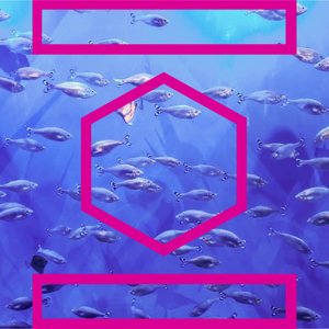 Elevators All Year Long