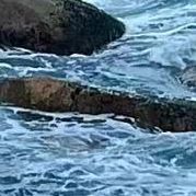 山谷回声996 (46)