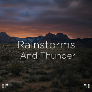 호우 잠