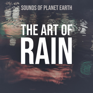 Gentle Night Crickets and Sounds of Constant Soothing Rain