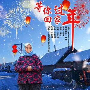 等你回家过年