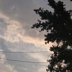 CC10130