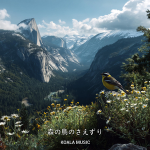 森の鳥のさえずりと癒しの自然音, Pt.34