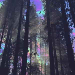 专属浪漫(thomeboy）