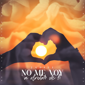 No Me Voy A Olvidar De Ti