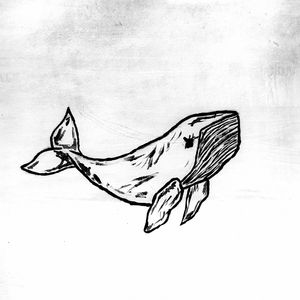 Синий кит