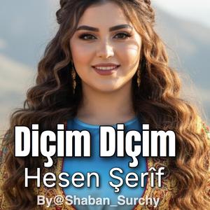 Diçim Diçim