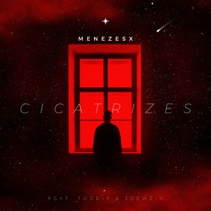 Cicatrizes