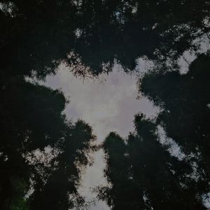 FAT(prod by Simon Marcus)