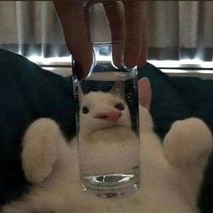 QS都市demo(Prod CDRAGON.D）