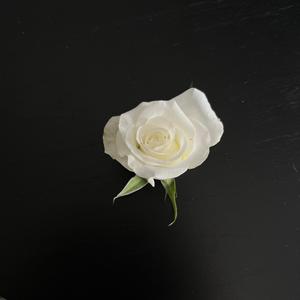 The devil wears Prada 2.0.2.6.