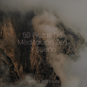 Viaje A Las Dunas