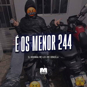 É os Menor 244