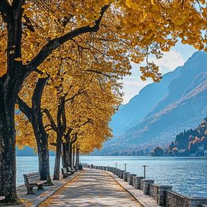 被寄托的思念（钢琴曲）