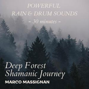 Deep Forest Shamanic Journey (30 minutes)