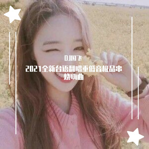 全新台语翻唱重低音极品串烧嗨曲