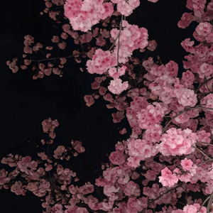 潮汐诗.wav