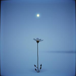 爱你太难了像花