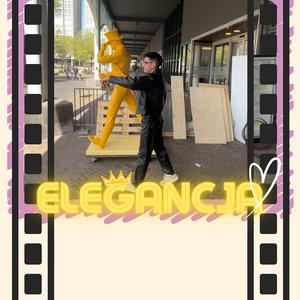 Elegancja