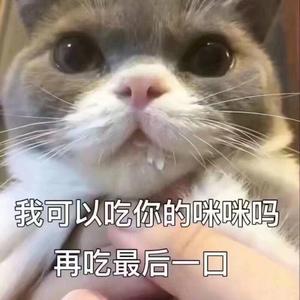 亲爱的你去了何方