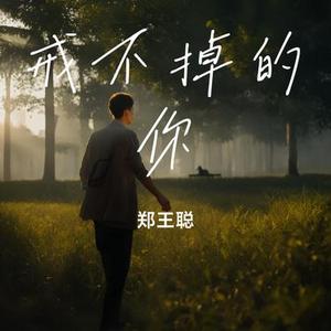 戒不掉的你