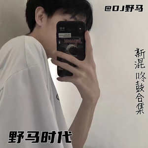 伤了你的心的我伤心 (DJ野马弹鼓版)