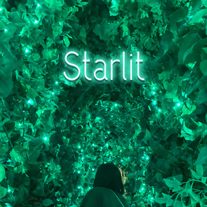 Starlit