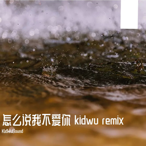 怎么说我不爱你 （KIDWU FUTURE RAVE REMIX）