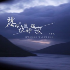 想你的夜里好孤寂 (DJ阿卓版)