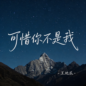 可惜你不是我（R&B版）