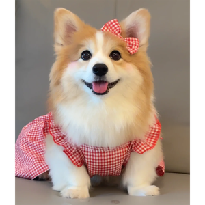 我曾经发了疯的想