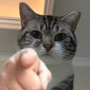 Justin Biber-new stay（YaHoo remix）