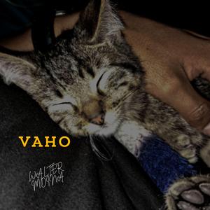 VAHO