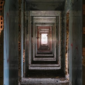 废墟之上种下天光