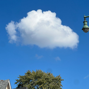 他们还在说着什么